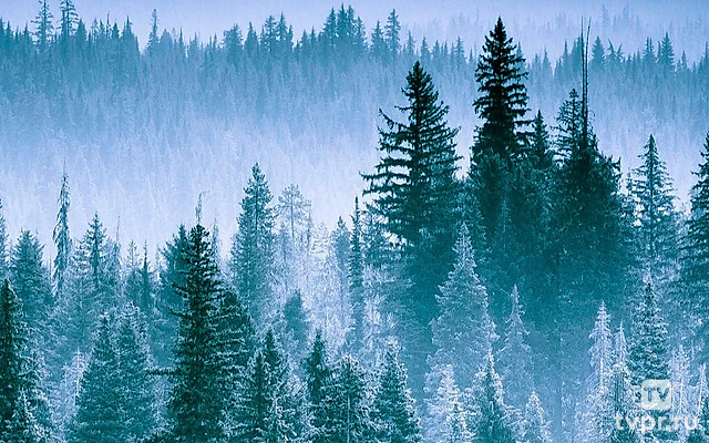 Таёжная экспедиция