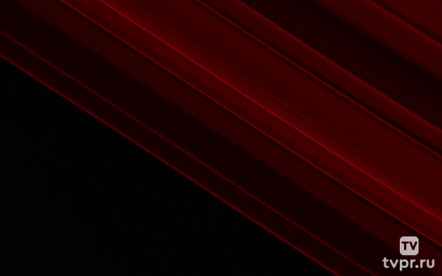 Смешанные единоборства. UFC. Путь чемпионов