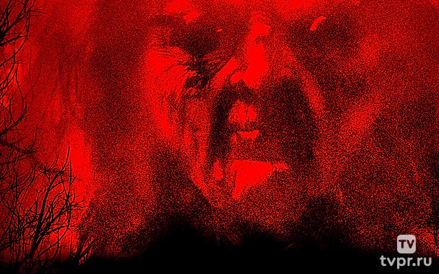 Реинкарнация. Возвращение ведьмы