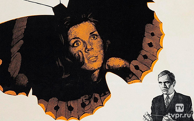 Коллекционер