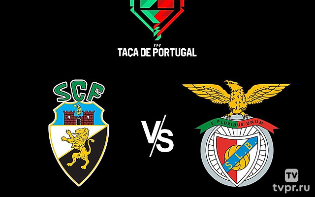 Футбол. Кубок Португалии. Фаренсе - Бенфика