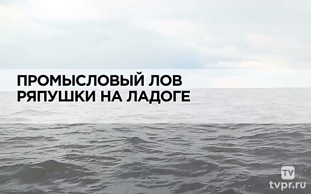 Промысловый лов ряпушки на Ладоге