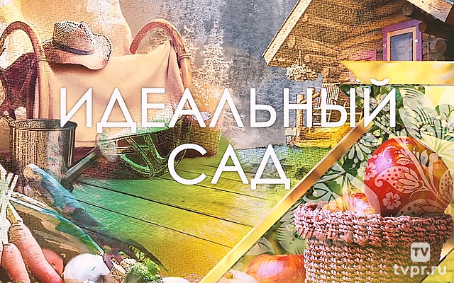 Идеальный сад