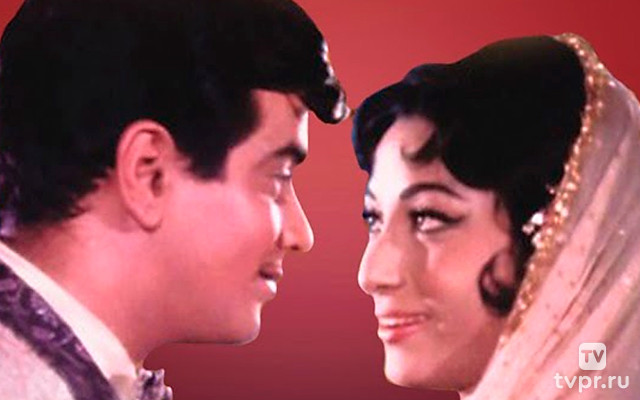 Мой господин