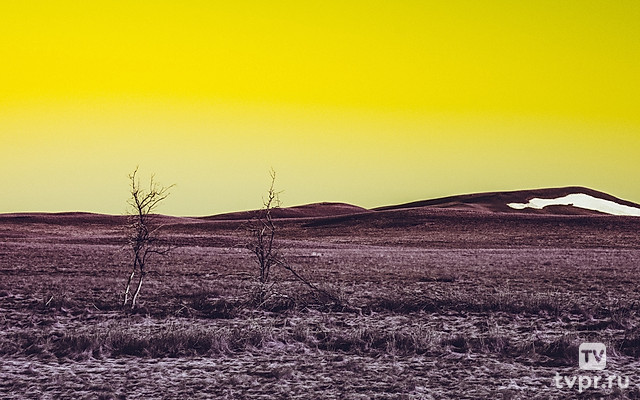Буртинская степь