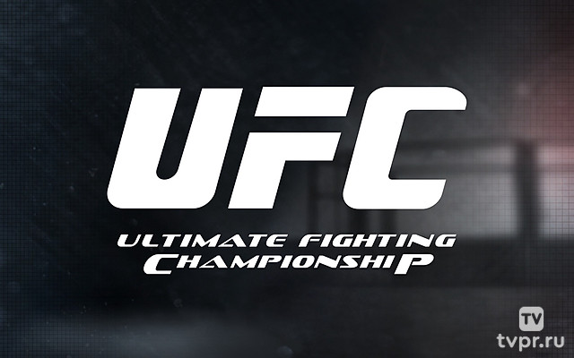 Смешанные единоборства. UFC 303. Алекс Перейра против Иржи Прохазки. Роман Долидзе против Энтони Смита