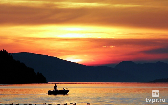 Гигантские налимы реки Лены