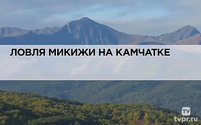Ловля микижи на Камчатке