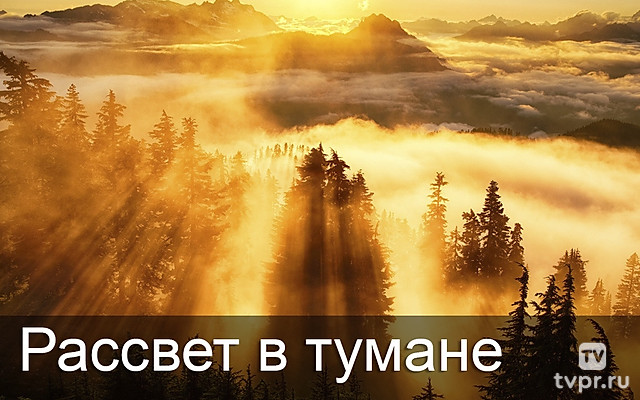 Рассвет в тумане