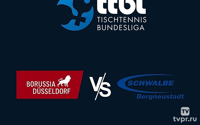 Настольный теннис Бундеслига. Регулярный сезон 2024/25. 15 тур. Боруссия Дортмунд - Швальбе Бергнойштадт