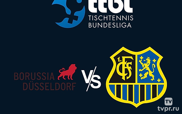 Настольный теннис Бундеслига. Регулярный сезон 2024/25. 15 тур. Боруссия Дюссельдорф - Саарбрюккен