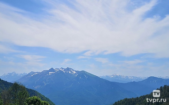Кондуки - Наталья Меморская