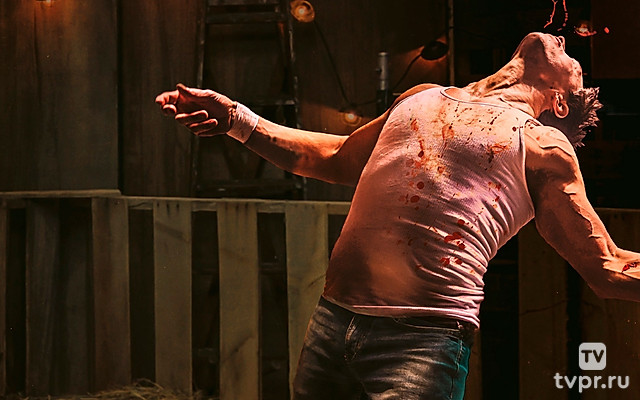 Бойцы на всю голову