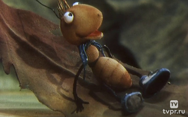 Муравьиный ёжик