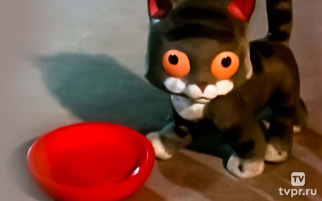 Почему ушёл котёнок?