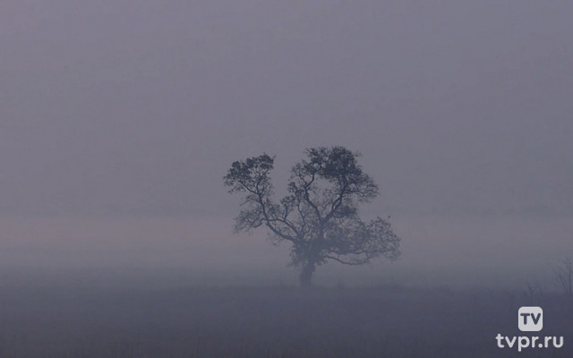 Национальный парк Суклафанта. Дикий мир Непала