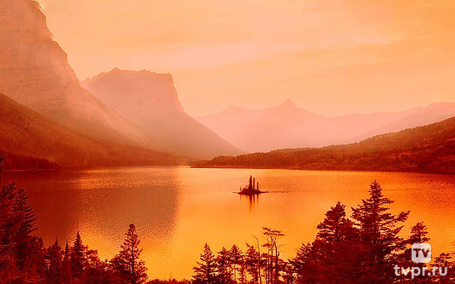 Дикая Монтана