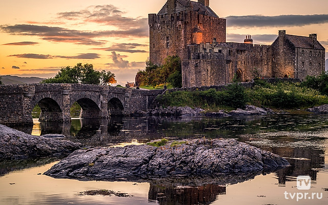 Король Шотландии