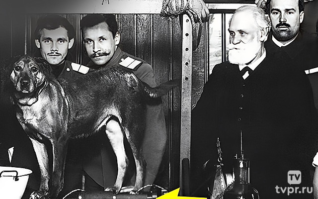 Иван Петрович Павлов - обратная сторона гениальности