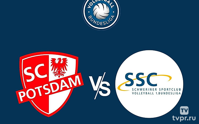 Волейбол Женщины. Бундеслига. Регулярный сезон 2024/25. 20 тур. Потсдам - Шверин