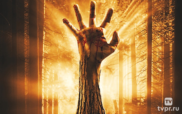 Пробуждающийся лес