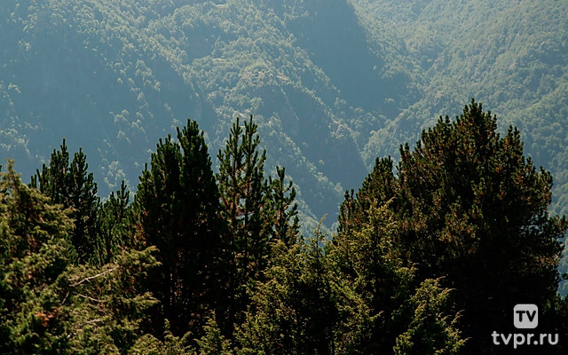 Три оттенка Пиренеев