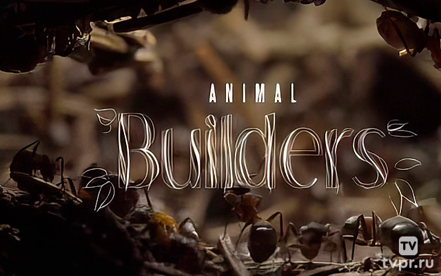 Строители от природы