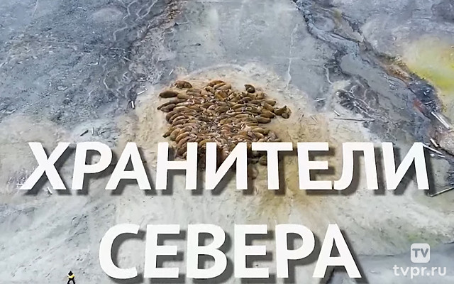 Хранители севера