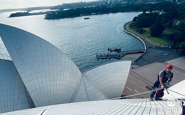 Команда Сиднейской бухты