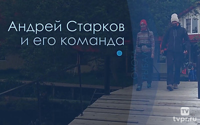Андрей Старков и его команда