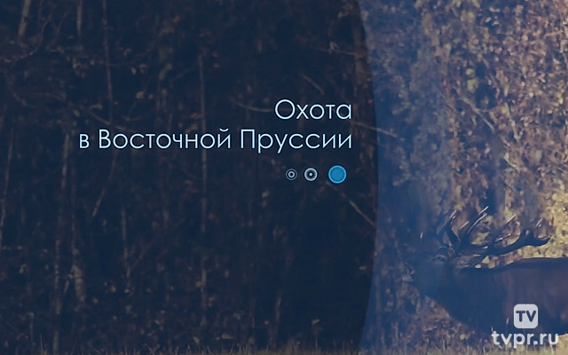 Охота в Восточной Пруссии