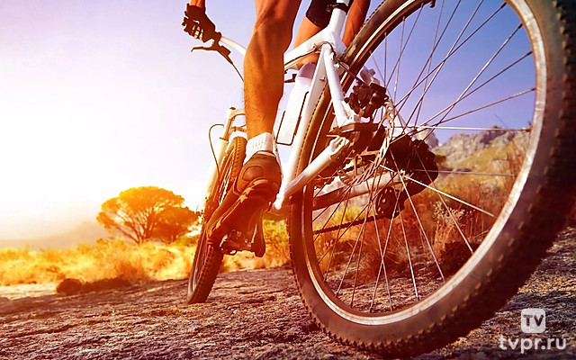 Мексиканский велопоход