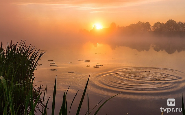 Утро у озера