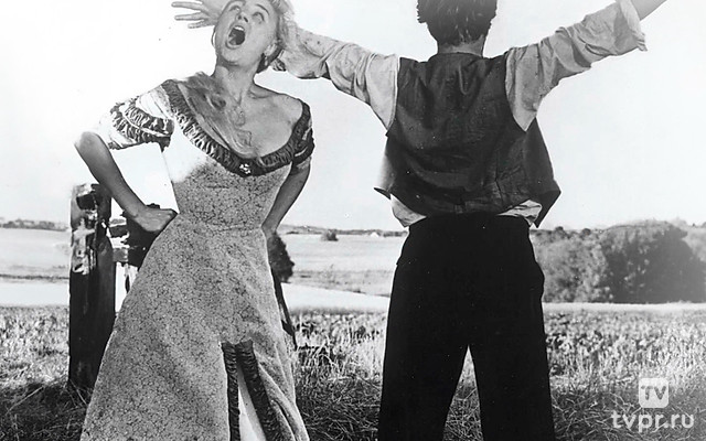 Улыбки летней ночи