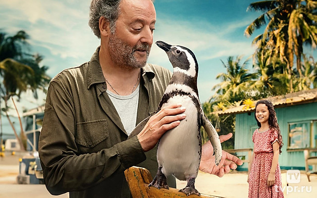 Мой пингвин