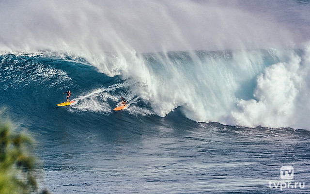 Мир водных видов спорта