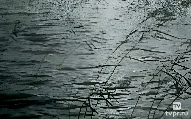 Марина Влади. Моя правда