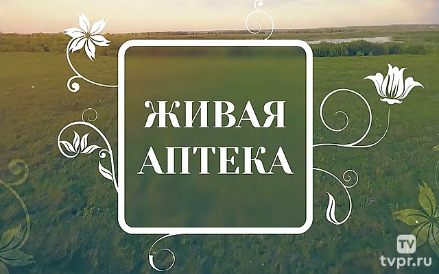 Живая аптека