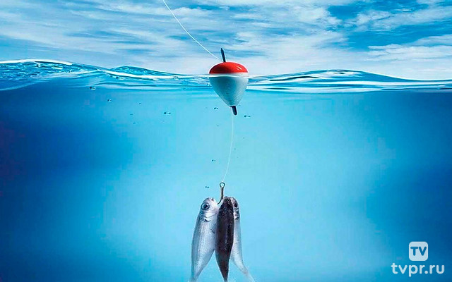 Удачная рыбалка