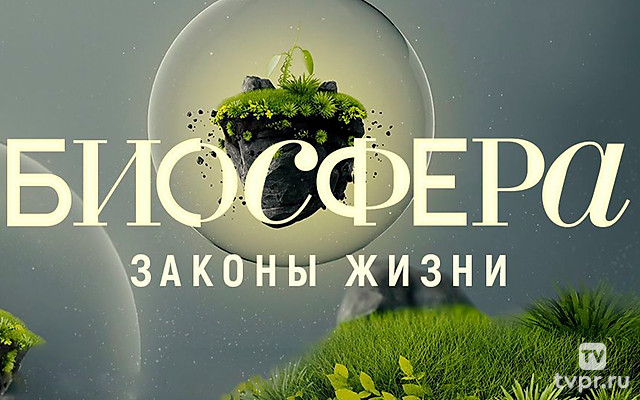 Биосфера. Законы жизни