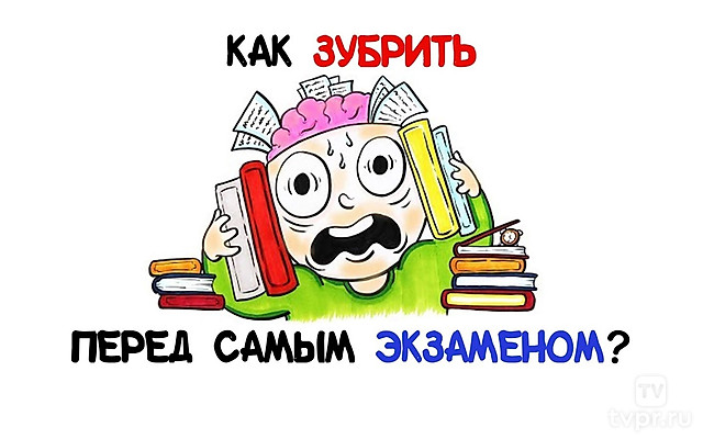 Как зубрить перед самым экзаменом?
