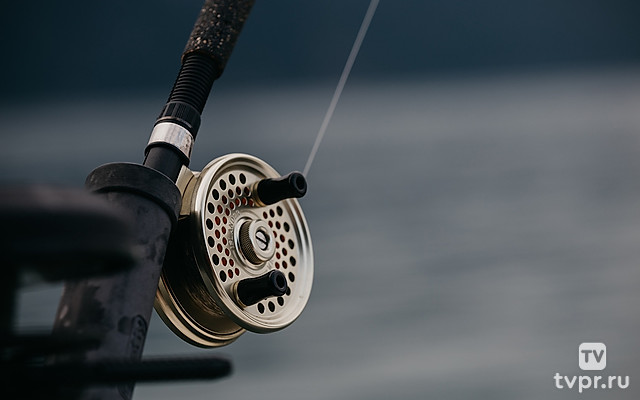 Рыбацкий ящик