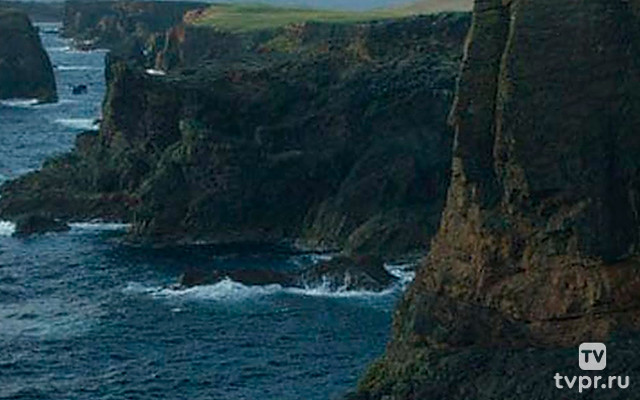 Шотландия: дикий год