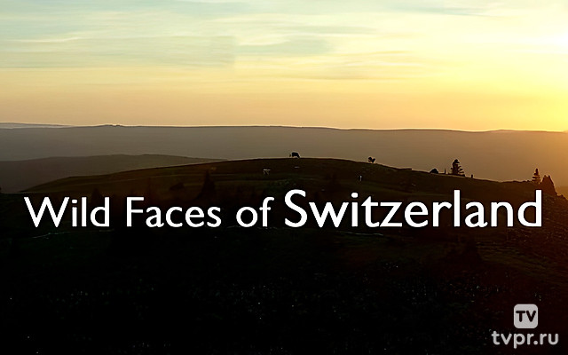Дикая Швейцария