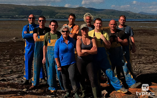 Устричный клан