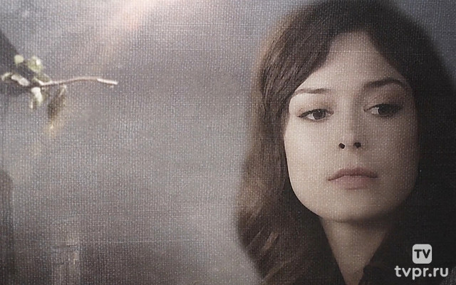 Катькино поле