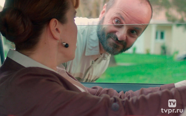 Псу под хвост