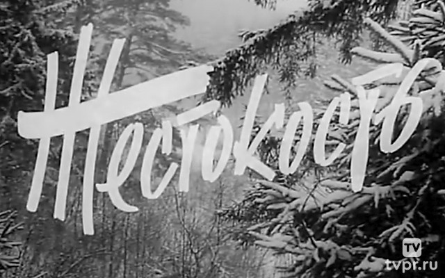 Жестокость