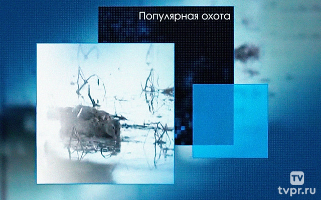 Популярная охота