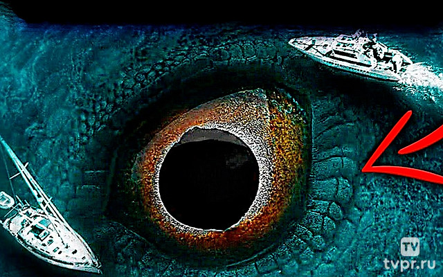 Забытая история нашей Земли! О чем молчат палеонтологи?